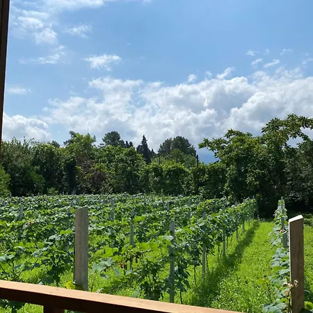 Orion Cottage Batumi Zewnętrze zdjęcie